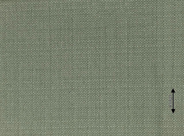 /filemanager/Agiovlasitis/moss (27).jpg